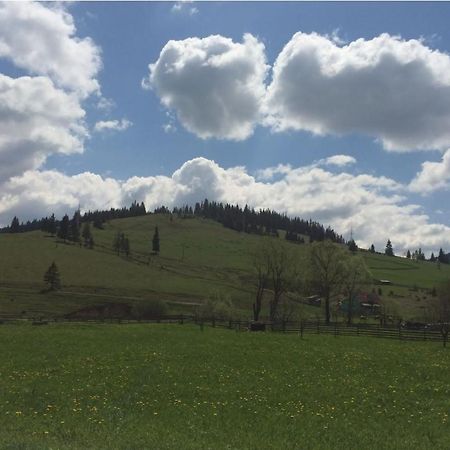 Karacsony Guest House Lunca de Sus Zewnętrze zdjęcie
