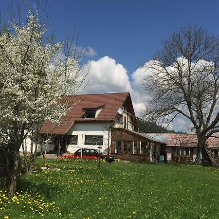 Karacsony Guest House Lunca de Sus Zewnętrze zdjęcie