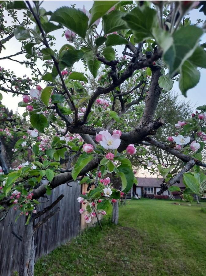 Karacsony Guest House Lunca de Sus Zewnętrze zdjęcie