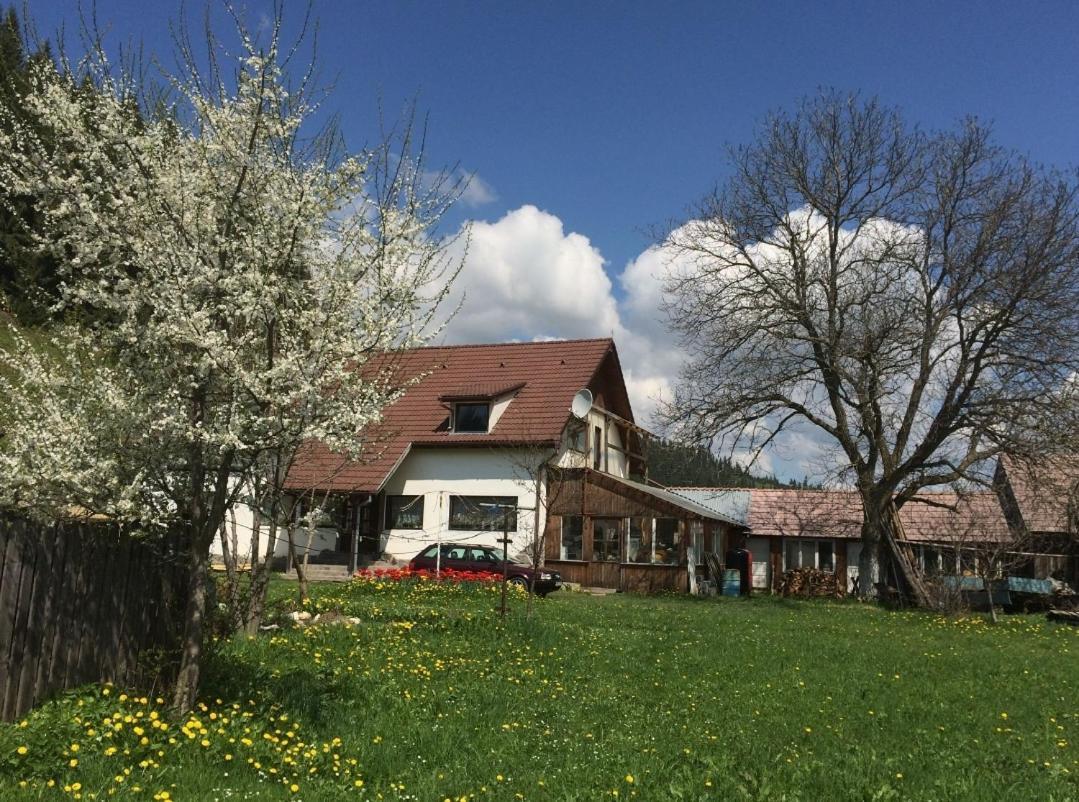 Karacsony Guest House Lunca de Sus Zewnętrze zdjęcie
